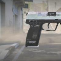 USP 消音版 （StatTrak） |印花集 （久经沙场）  416